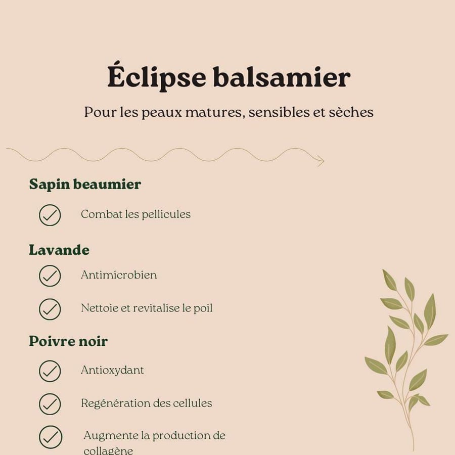 Educated Beards - Nettoyant à barbe