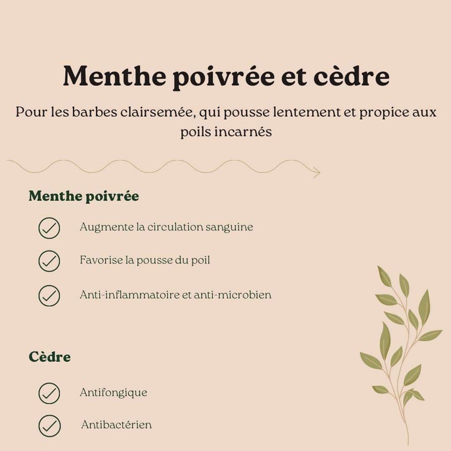 Educated Beards - Nettoyant à barbe