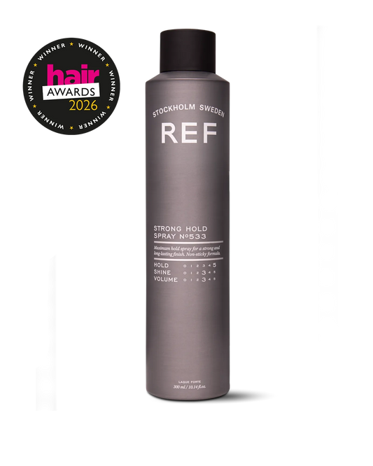 Strong Hold Spray N°533